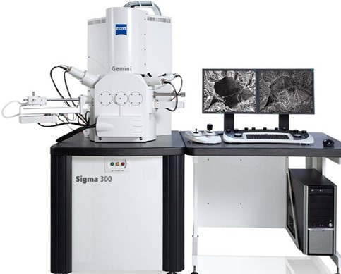 Sigma300.jpg